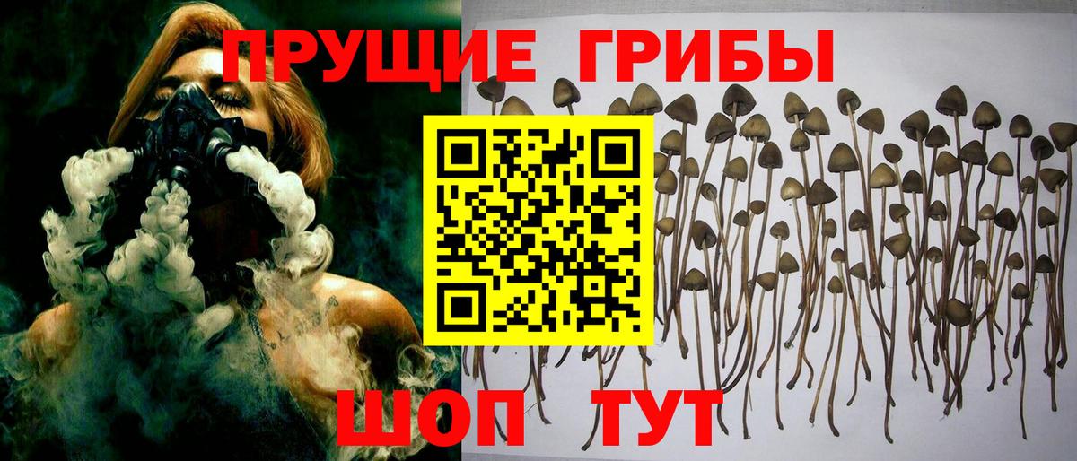 Галлюциногенные грибы GOLDEN TEACHER  Вход с VPN  Новомосковск 
